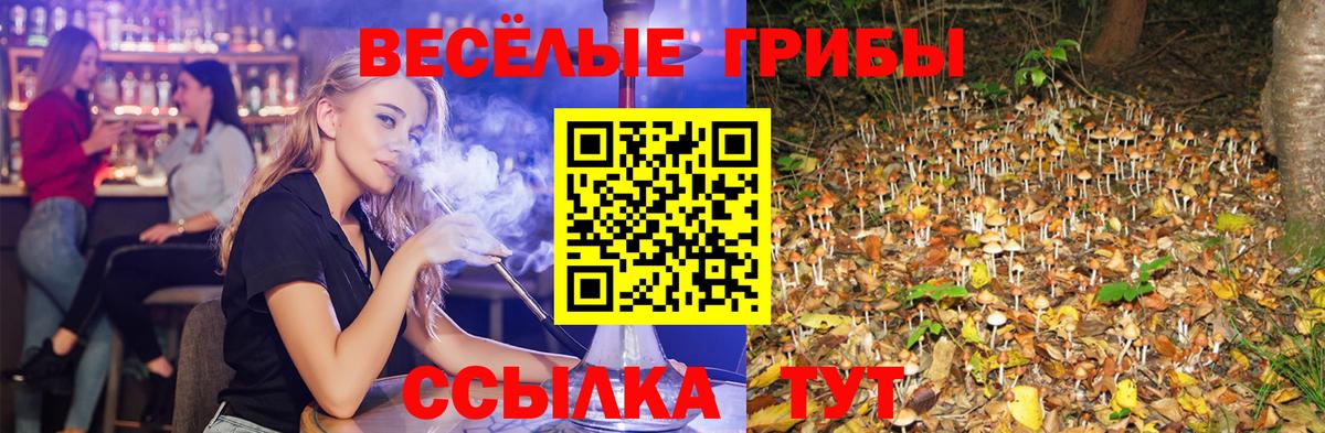 Псилоцибиновые грибы Psilocybine cubensis  Псилоцибиновые грибы MAGIC MUSHROOMS  Алейск  закладки  Вход с VPN 